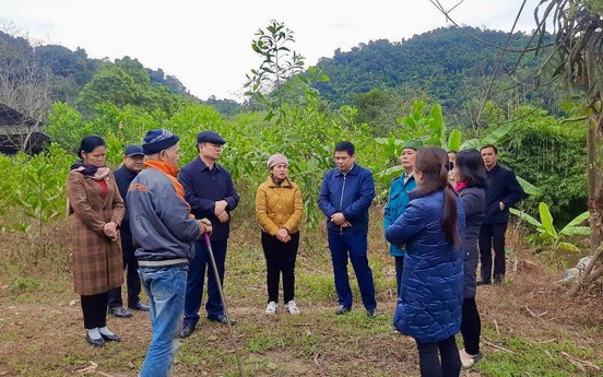 Bí thư Tỉnh ủy khảo sát việc triển khai xóa nhà tạm, dột nát tại huyện Chợ Đồn