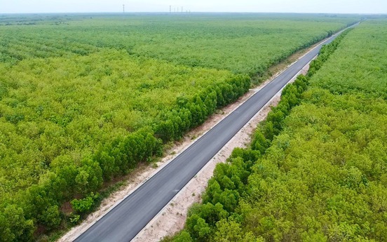 Chỉ hơn 2 tháng nữa, con đường xuyên rừng cao su tại tỉnh giàu nhất Việt Nam sẽ thông xe kỹ thuật