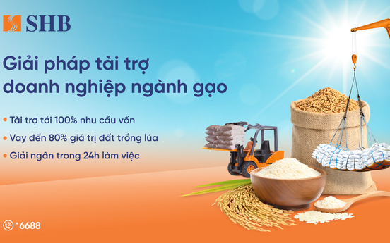SHB ra mắt giải pháp tài trợ linh hoạt cho ngành gạo, đồng hành cùng Chính phủ phát triển nông nghiệp bền vững