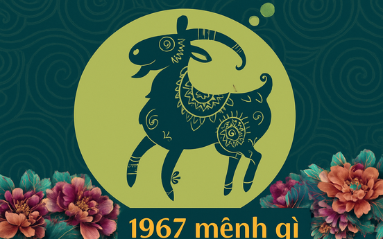 Sinh năm 1967 mệnh gì? Giải mã phong thủy màu sắc, hướng nhà hợp tuổi Đinh Mùi