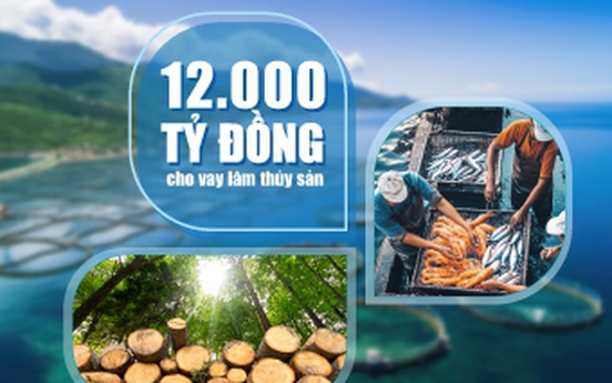 VietinBank nâng quy mô gói tín dụng, đẩy mạnh đầu tư lĩnh vực lâm, thủy sản