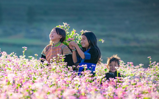 Hành trình bản sắc: Top 5 điểm đến miền Bắc không nên bỏ lỡ cho trải nghiệm văn hóa bản địa