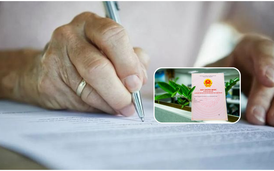 Kể từ nay, phải đáp ứng điều kiện này cha mẹ mới được phép sang tên sổ đỏ cho con cái