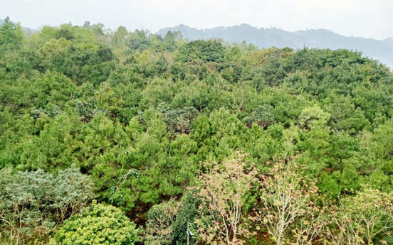 Vùng đất sở hữu ‘Thụy Sĩ của Việt Nam’ sắp hình thành 11 điểm phát triển du lịch sinh thái, nghỉ dưỡng, giải trí
