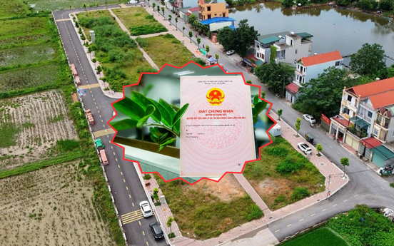 Kể từ nay, đất không sổ đỏ khi bị thu hồi sẽ được bồi thường nếu đáp ứng điều kiện này