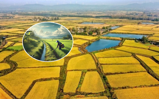 Đề xuất giảm 70% tiền chuyển đất nông nghiệp sang đất ở