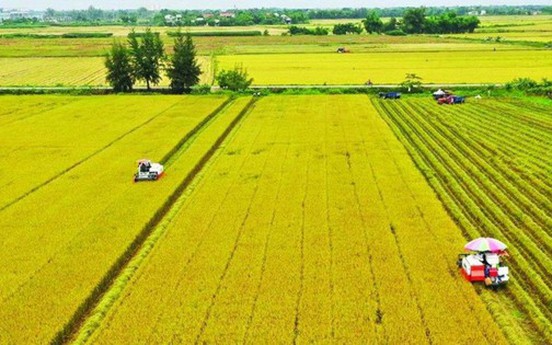 Nghị quyết 216/2025/QH15 kéo dài thời hạn miễn thuế sử dụng đất nông nghiệp