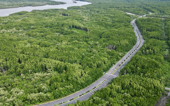 Bổ sung quy định về tạm sử dụng rừng để thi công các dự án cấp thiết