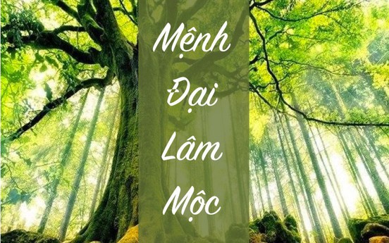Đại Lâm Mộc là gì? Điểm đặc biệt của mệnh này trong phong thủy, tử vi
