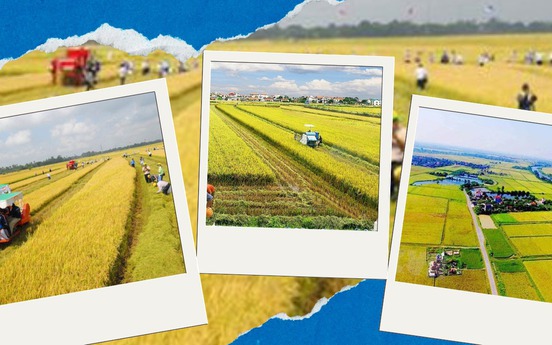 Vài giờ nữa, Chính phủ sẽ họp bàn nội dung quan trọng về lĩnh vực đất đai