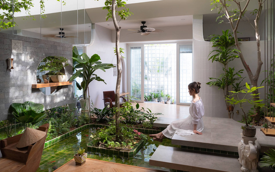 10+ ý tưởng tự làm hồ cá sân vườn dễ thực hiện