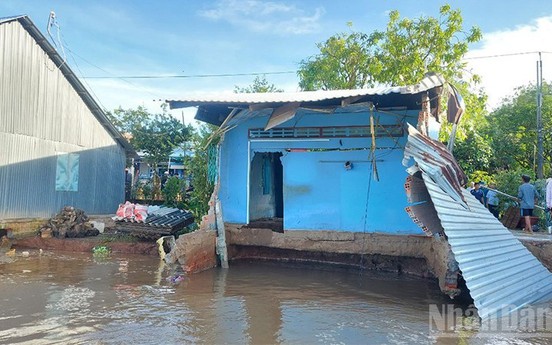 Đồng Tháp: Khẩn trương khắc phục, xử lý sạt lở bên bờ sông Tiền