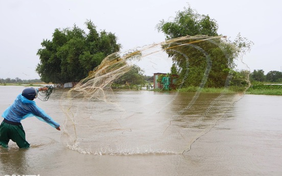 Người dân Đà Nẵng đội mưa đi săn 'lộc trời' sau bão Bualoi, đặc sản vừa kéo lên đã bán sạch trong 15 phút