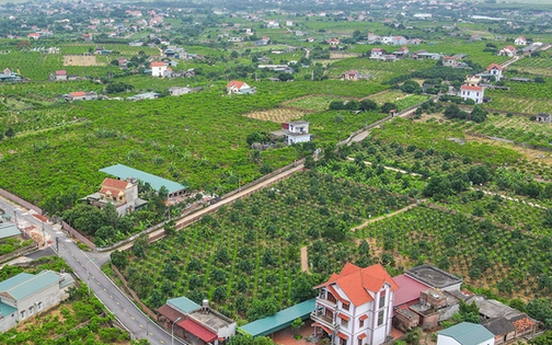 Tháo gỡ vướng mắc các dự án đất đai và triển khai Chương trình mục tiêu quốc gia