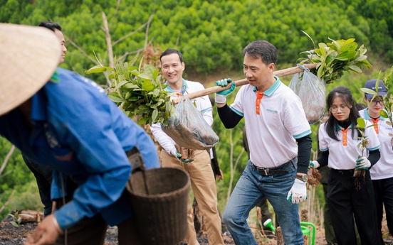 Nghệ An: 100.000 cây xanh được trao tặng thông qua chương trình Tết An Bình 2026