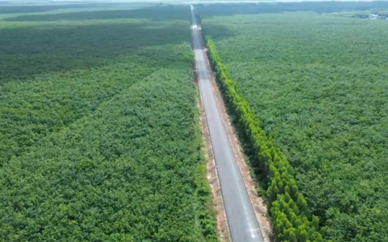 Con đường xuyên rừng cao su tại thành phố giàu nhất Việt Nam: Gặp khó khăn, phải lùi kế hoạch thông xe nửa năm