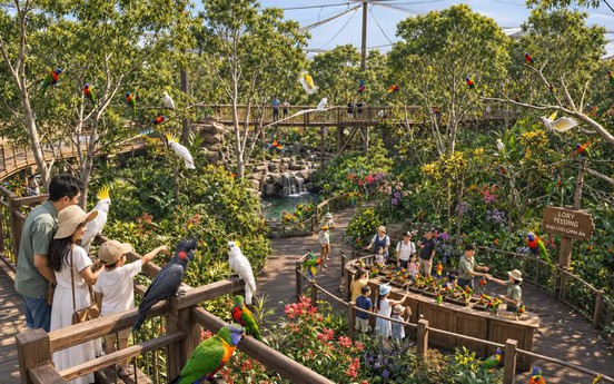 "Thám hiểm" 5 châu trong một ngày: Safari Cần Giờ mở ra hành trình khám phá từ bầu trời đến đại dương