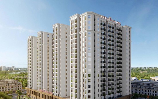 Lideco (NTL) báo lỗ hơn 55 tỷ đồng sau 9 tháng, hàng tồn kho tăng gần 57%