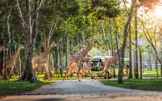Những hành khách đặc biệt, bay chuyên cơ tới Safari giữ "kỷ lục kép" của Vinpearl giờ ra sao?