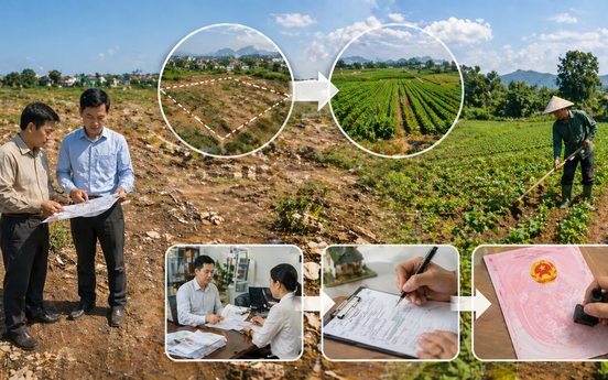 Từ nay, đất chưa sử dụng có được đưa vào sử dụng làm đất nông nghiệp không, thủ tục thế nào?