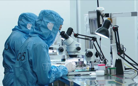 Kiện toàn Ban Chỉ đạo phát triển khoa học, công nghệ, đổi mới sáng tạo, chuyển đổi số và Đề án 06