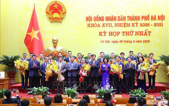 Thủ tướng Chính phủ phê chuẩn kết quả bầu Chủ tịch, Phó Chủ tịch UBND cấp tỉnh nhiệm kỳ 2026-2031