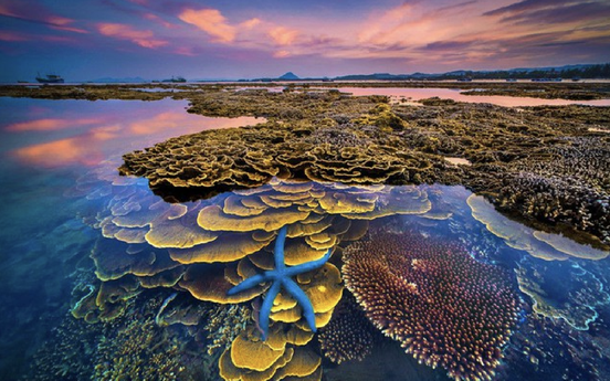 Việt Nam sắp có thêm một công viên địa chất toàn cầu được UNESCO công nhận