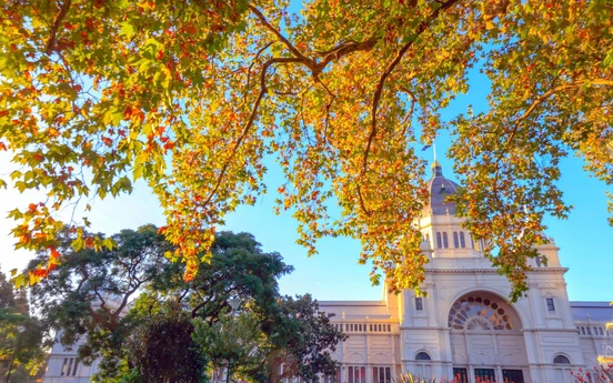 Photo Travel: Carlton, khu vườn di sản giữa trái tim Melbourne
