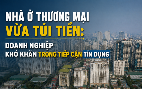 Khó tiếp cận vốn, doanh nghiệp bất động sản "tiến thoái lưỡng nan" khi làm nhà ở vừa túi tiền