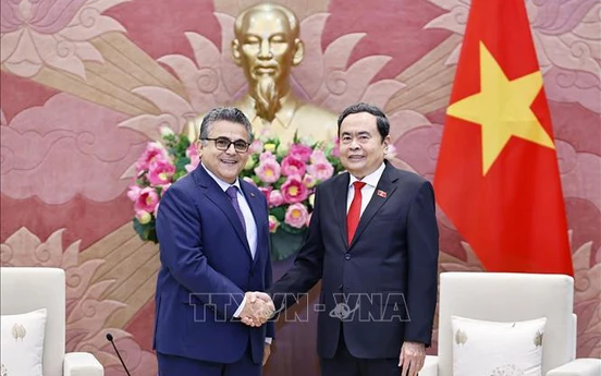 Thúc đẩy quan hệ truyền thống, hợp tác hữu nghị giữa Việt Nam và Palestine