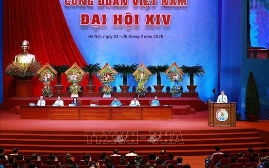 Thủ tướng: Đưa năng suất lao động trở thành động lực quan trọng của tăng trưởng bền vững
