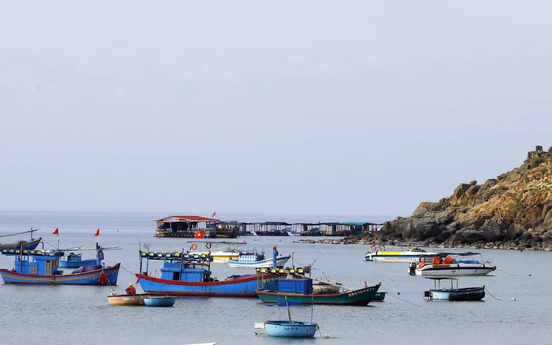 Photo Travel: Phiên chợ cá sớm ở làng chài Nhơn Lý