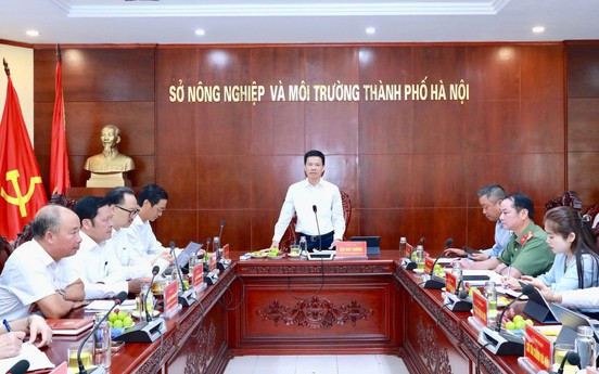 Hà Nội yêu cầu xử lý dứt điểm vướng mắc đất đai, kiên quyết thu hồi dự án không chuyển biến