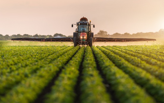 Nông nghiệp công nghệ cao: "Hữu xạ tự nhiên hương"