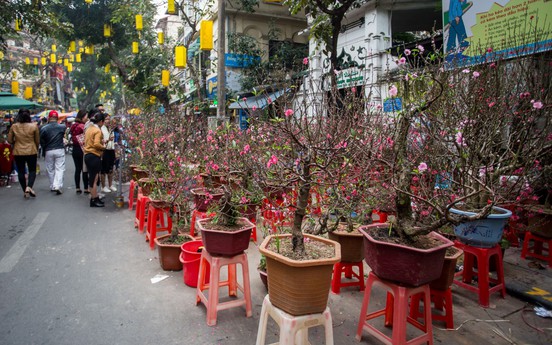 Chợ hoa Hàng Lược - Vị Tết của người Hà Nội