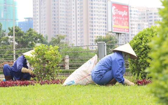 Chi 53 tỷ/năm cắt cỏ Đại lộ Thăng Long: Cần công khai cho nhân dân biết