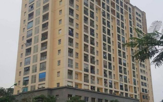 Thanh tra Chính phủ tiếp nhận vụ việc tranh chấp tại chung cư 229 phố Vọng