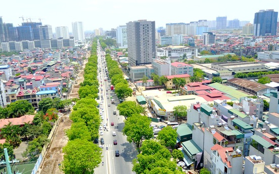 Ngày 18/10, bắt đầu chặt hạ, di dời 1.289 cây xanh trên đường Phạm Văn Đồng