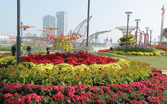 Đường hoa Xuân sắc màu bên sông Hàn có gì đặc biệt?