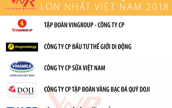 Top 10 Doanh nghiệp lớn nhất Việt Nam: Vingroup được "xướng" tên đầu tiên