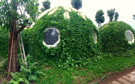 Ngôi nhà hình tròn phủ đầy cây xanh độc đáo giữa Thủ đô