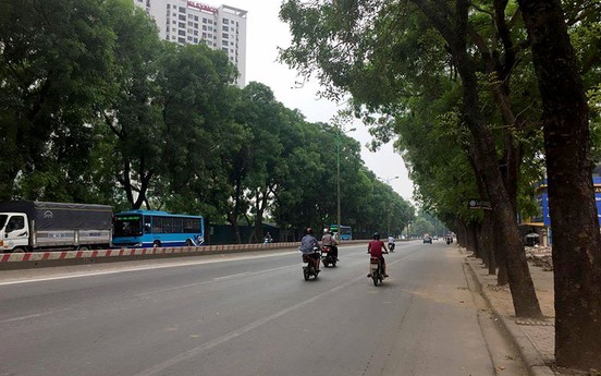 Hà Nội: "Khai tử" hơn 1.300 cây xanh để mở rộng đường Phạm Văn Đồng