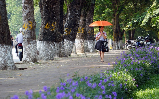 Chỉ 2m2/người, cây xanh ở Hà Nội bằng 1/10 tiêu chuẩn thế giới