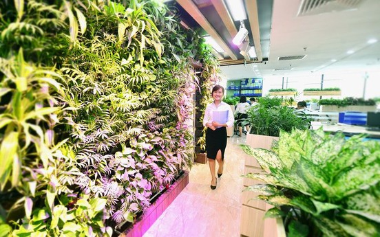 Dễ chịu như một ngày làm việc trong văn phòng Xanh Capital House
