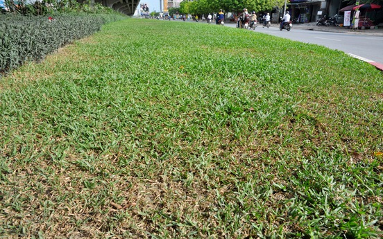Đoạn đường được chi 27 tỷ đồng để “duy trì cây xanh, thảm cỏ” mà vẫn xấu xí