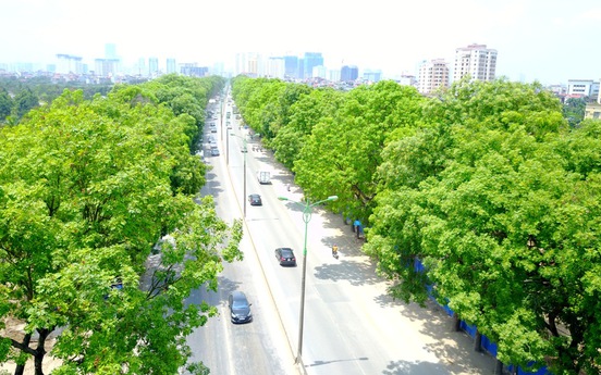 Hà Nội: Cận cảnh đường Phạm Văn Đồng trước giờ chặt hạ hơn 1000 cây xanh