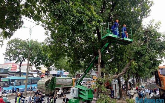 Hà Nội: Hôm nay bắt đầu chặt hạ cây xanh trên đường Phạm Văn Đồng