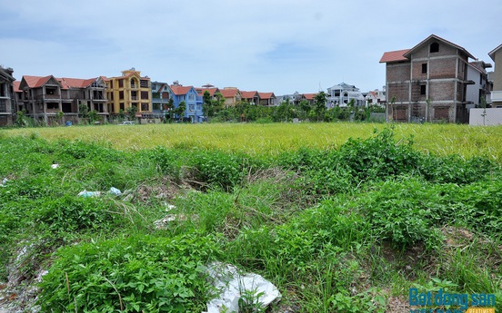 Hà Nội: Lập Ban Chỉ đạo đôn đốc thu hồi nợ đọng thuế và nợ tiền sử dụng đất