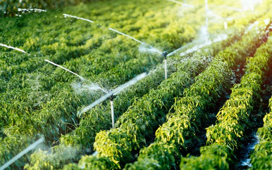 Tập đoàn GFS dẫn đầu xu hướng phát triển nông nghiệp hữu cơ trên nền tảng công nghệ hiện đại