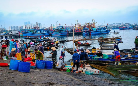 Đà Nẵng: Tạm dừng dự án tuyến luồng vào cảng Thọ Quang